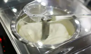 Cremiges Sahneeis wird in einer Eismaschine zubereitet. Der Rührarm dreht sich, um die perfekte Konsistenz zu erzeugen.