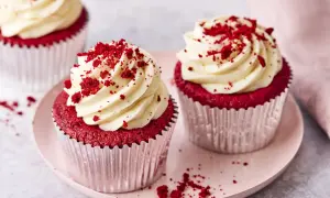 Zwei köstliche red velvet cupcakes mit cremiger Glasur und roten Krümeln, auf einem rosa Teller.