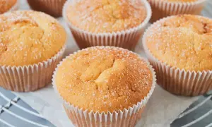 Frisch gebackene Quark Muffins, leicht mit Puderzucker bestäubt, auf einem Gitter.