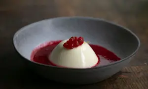 Cremige Panna Cotta mit roter Johannisbeersauce, ein köstliches Rezept für ein leichtes Dessert.