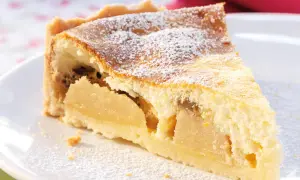 Ein Stück Apfelkuchen mit Quark, bestäubt mit Puderzucker, auf einem weißen Teller.