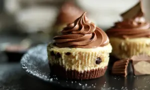 Schokoladen-Cheesecake-Muffins mit zarter Füllung und cremigem Topping, garniert mit Schokostückchen.