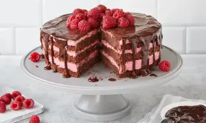 Schoko Himbeer Torte mit drei Schichten dunklem Kuchen und rosa Himbeercreme, überzogen mit Schokoladenglasur und frischen Himbeeren.