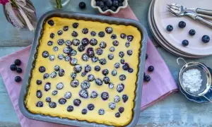 Frisch gebackener Blaubeer-Käsekuchen, bestäubt mit Puderzucker, bereit zum Servieren.