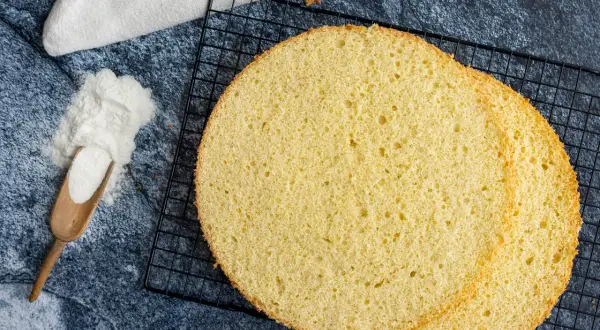 Zwei runde, goldgelbe Scheiben eines luftigen, **glutenfreien Biskuitbodens** liegen auf einem schwarzen Gitter. Daneben ein Holzlöffel mit weißem Pulver.