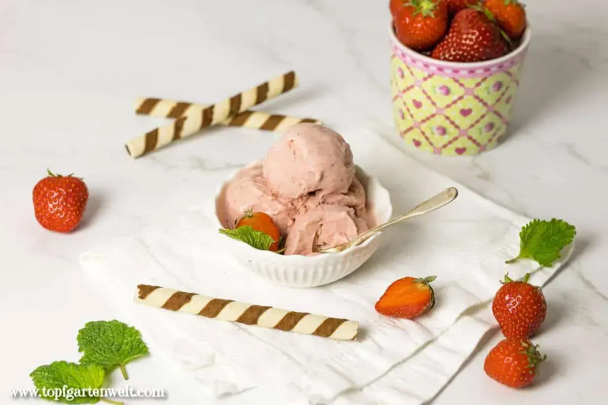 Ein Schälchen cremiges italienisches Erdbeereis, garniert mit frischen Erdbeeren und Minze. Dazu knusprige Waffelröllchen.