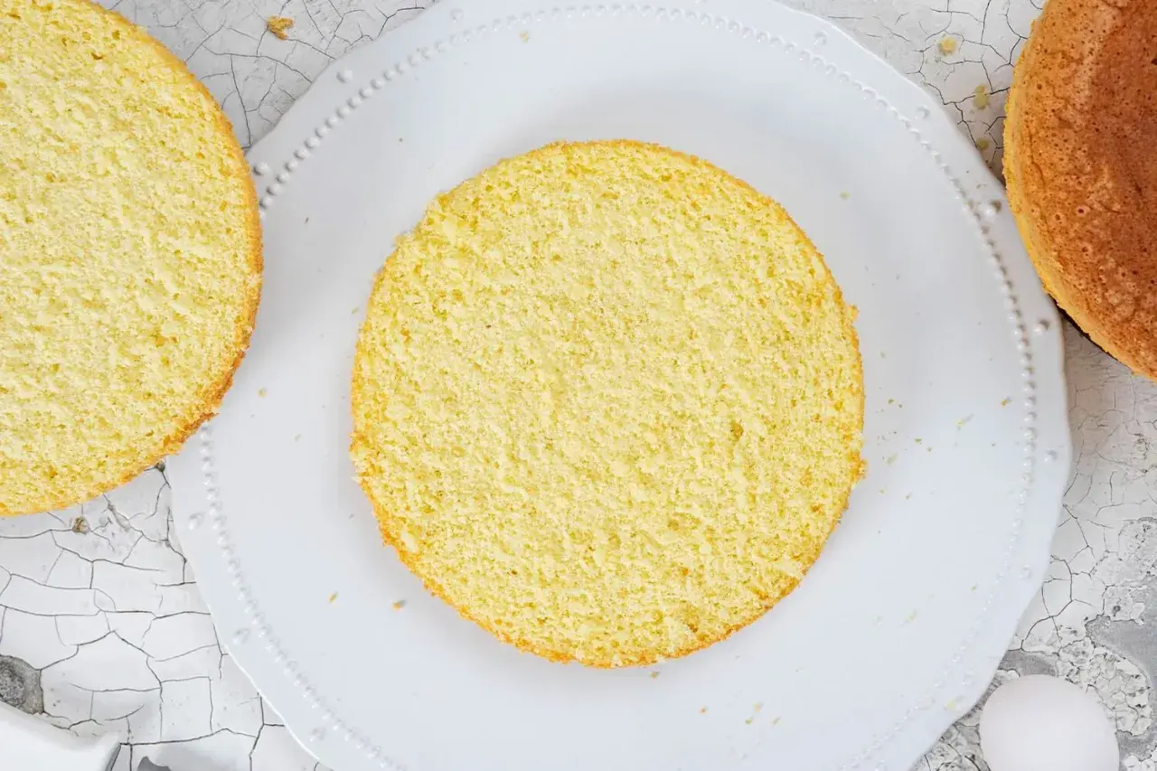Zwei runde Biskuitböden, einer auf einem Teller, bereit für ein Biskuitteig Rezept Springform.