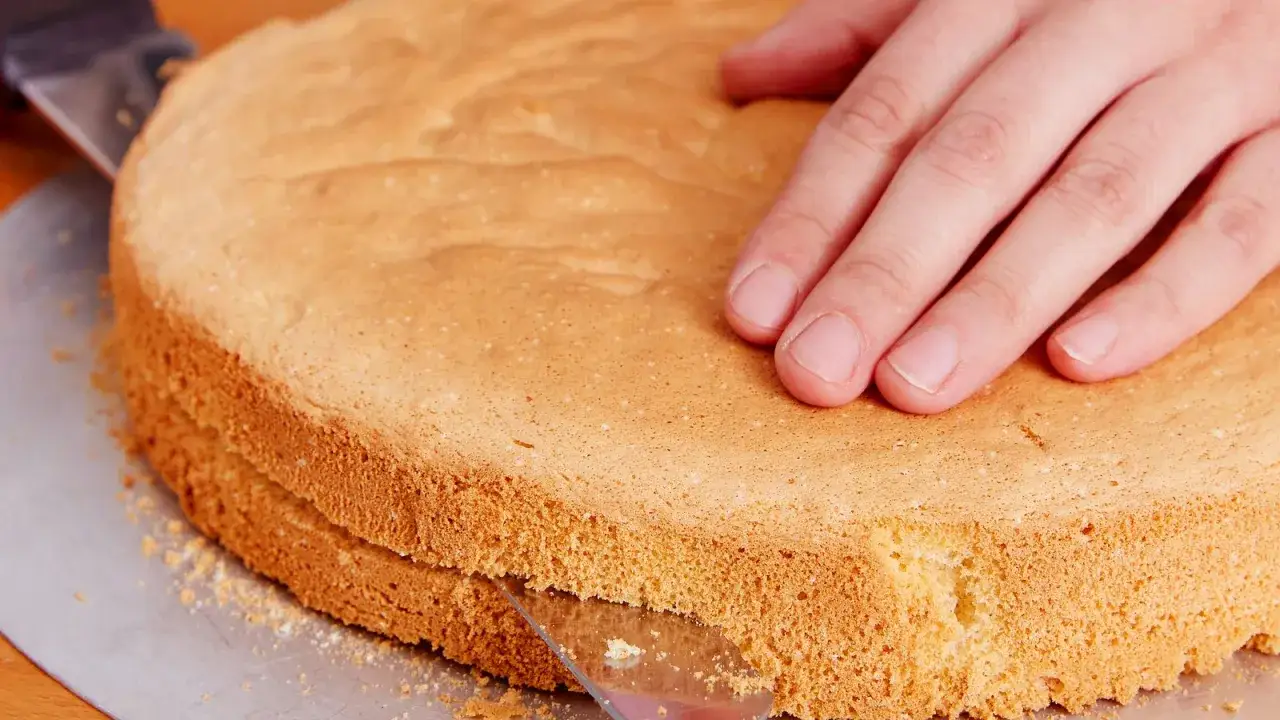 Ein Biskuitboden wird mit einem Messer geteilt. Das perfekte biskuitboden rezept für jede Gelegenheit.