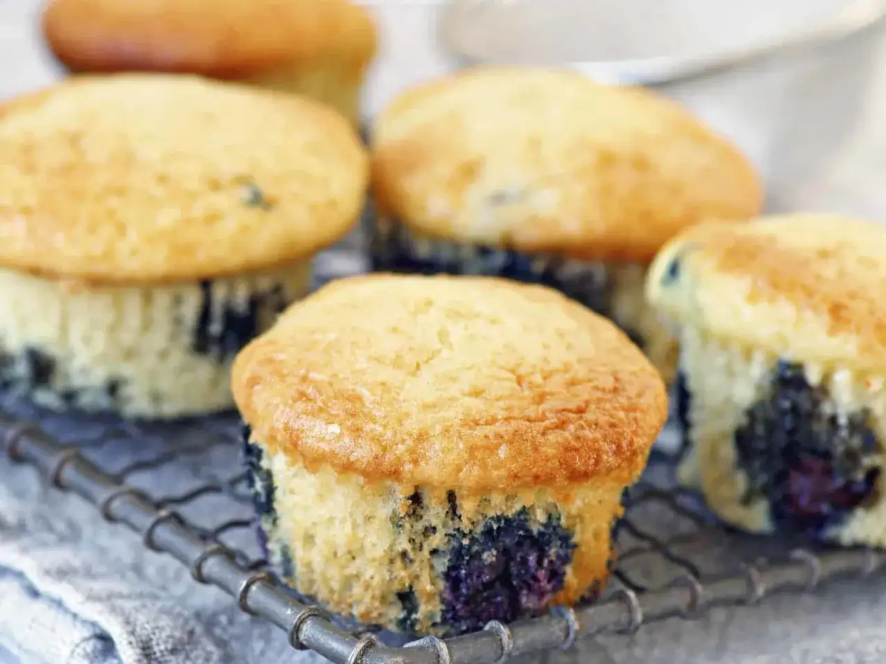 Frisch gebackene Blaubeermuffins, perfekt zubereitet mit dem Thermomix, ruhen auf einem Gitter.