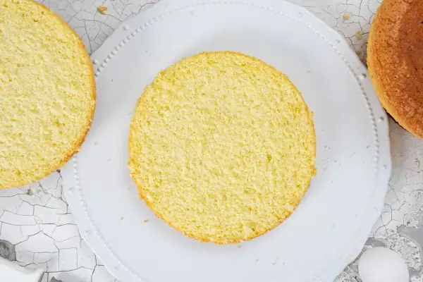Zwei runde Biskuitböden, einer auf einem Teller, bereit für ein Biskuitteig Rezept Springform.