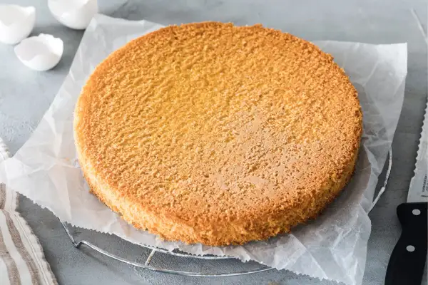 Ein goldbrauner Biskuitboden, perfekt für jedes Biskuitteig Rezept. Daneben leere Eierschalen und ein Messer.